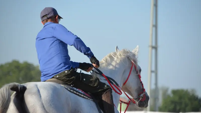 How to Read a Horse Racing Workout Report