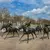 How to Read Horse Racing Odds and What They Pay