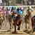 How to Handicap Class in a Horse Race