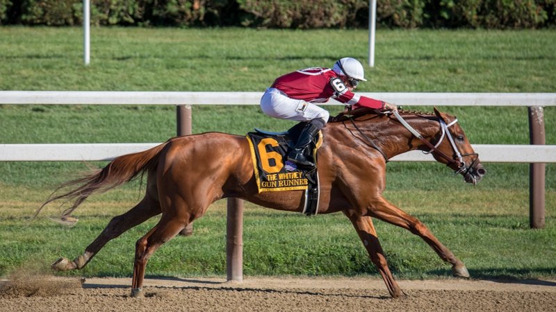 Salahudin Won the Iroquois, but the Pace Collapse Is the Real Derby Trail Story
