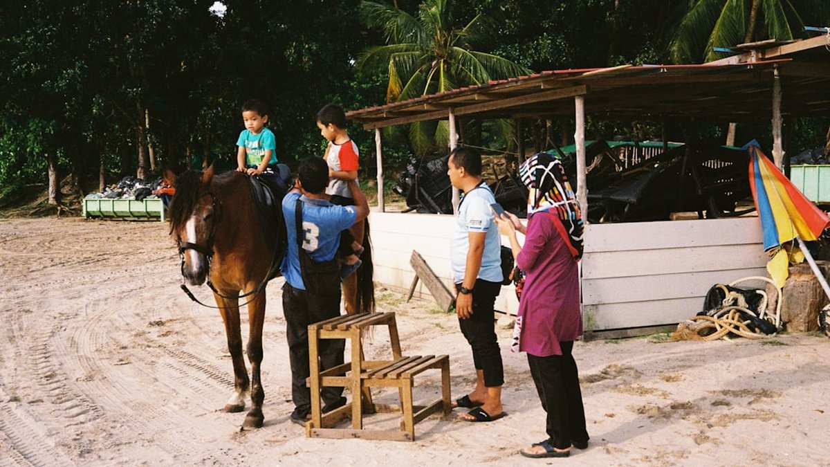 Jockey Partnerships That Win Races