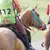How to Spot Speed Bias and Track Bias in Horse Racing