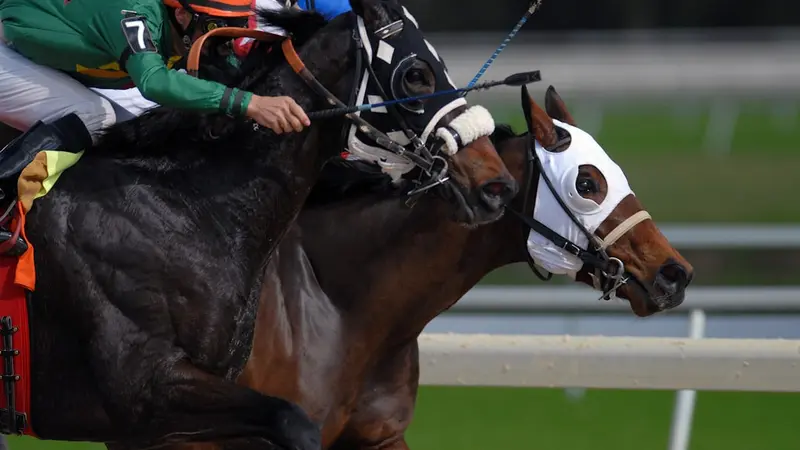 Why a Win and You're In Victory Doesn't Mean What Bettors Think It Means