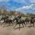 How to Bet on the Kentucky Derby, a Beginner's Guide