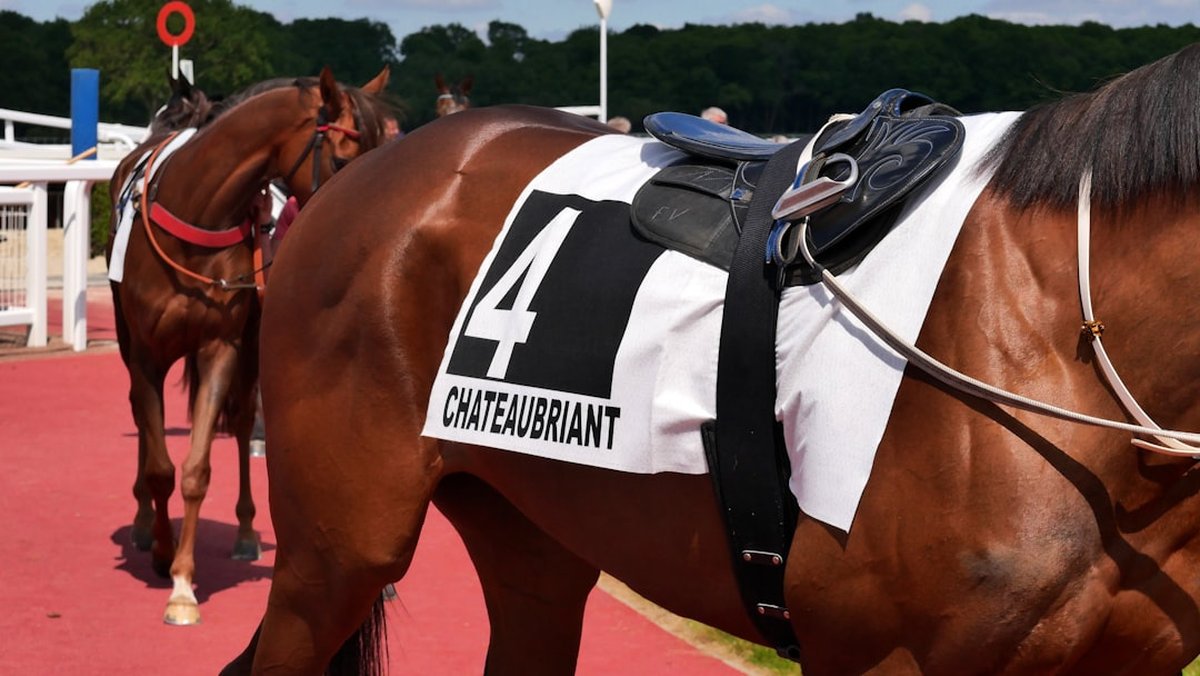 Bankroll Management for Beginners