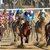 How to Handicap Class in a Horse Race