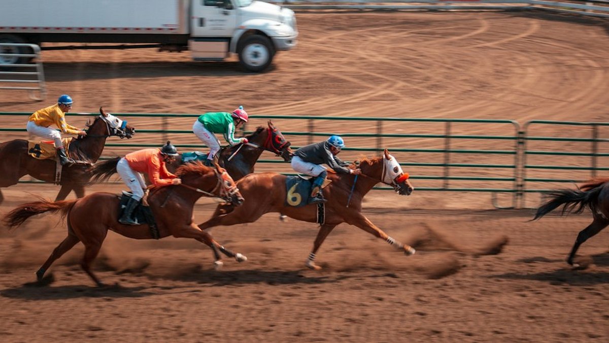 What Is Trip Handicapping