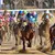Exacta, Trifecta and Superfecta Bets Explained