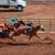 What Is Trip Handicapping