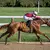 Salahudin Won the Iroquois, but the Pace Collapse Is the Real Derby Trail Story