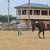 Rise of Female Jockeys in Horse Racing